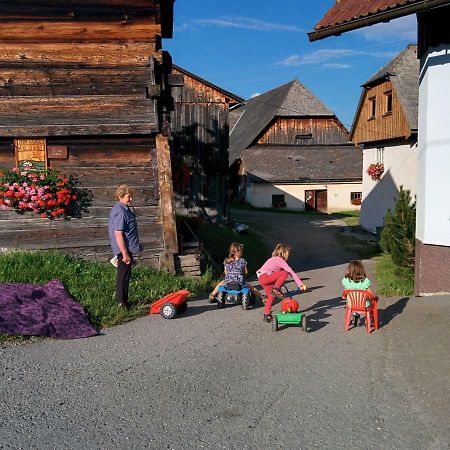 Willa Rettlhof Sankt Peter am Kammersberg Zewnętrze zdjęcie