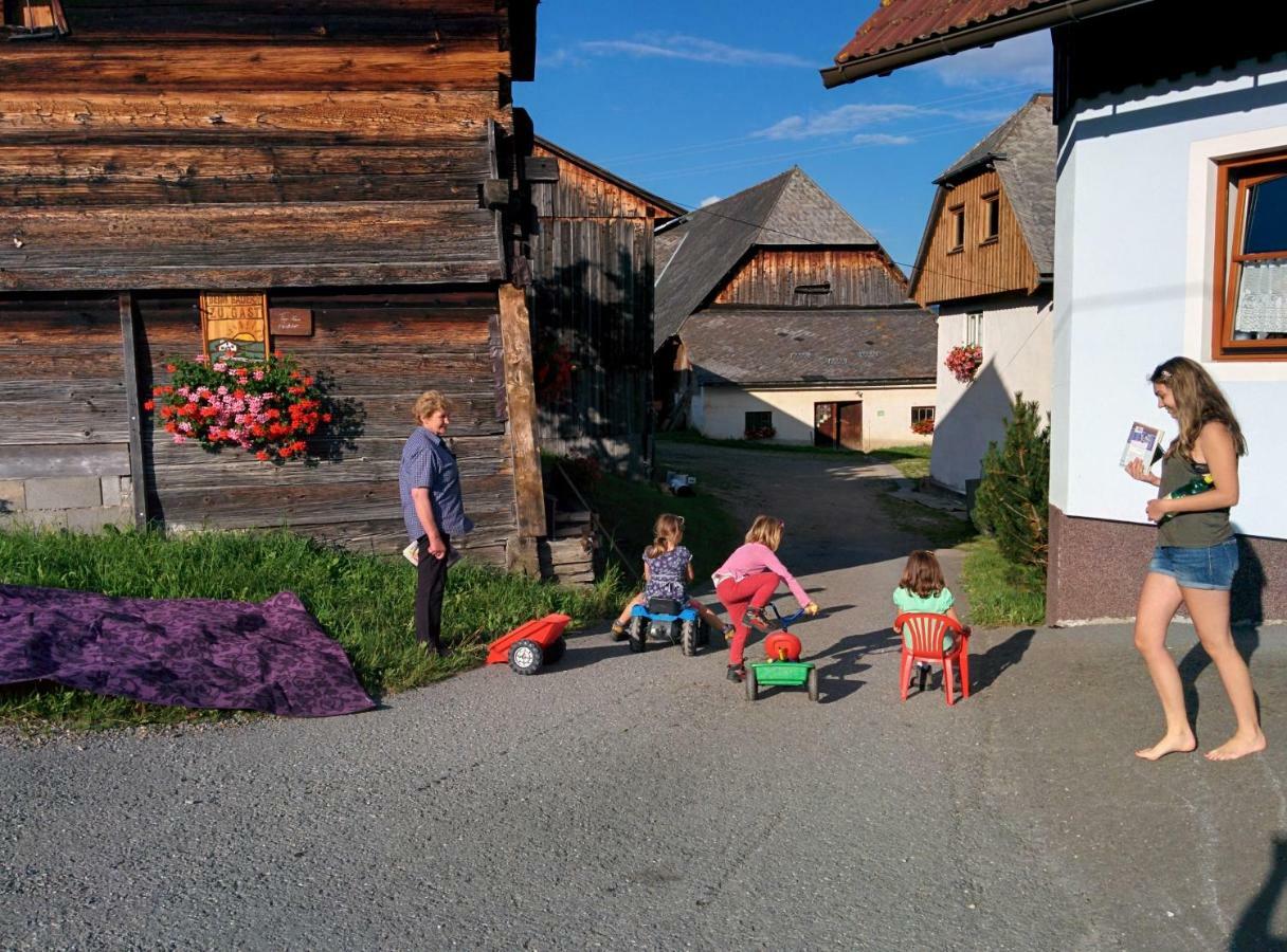 Willa Rettlhof Sankt Peter am Kammersberg Zewnętrze zdjęcie