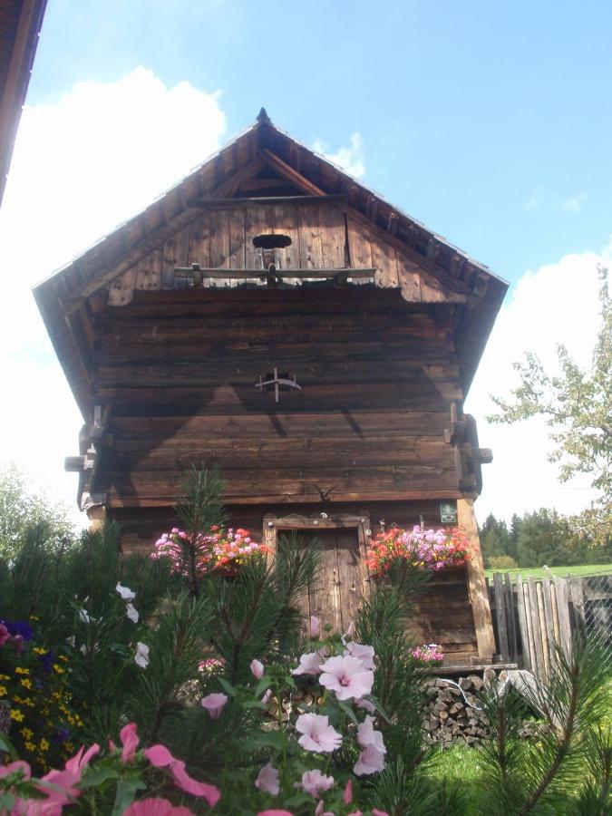 Willa Rettlhof Sankt Peter am Kammersberg Zewnętrze zdjęcie